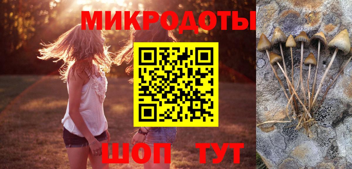 Псилоцибиновые грибы GOLDEN TEACHER  Вход с VPN  Пенза 